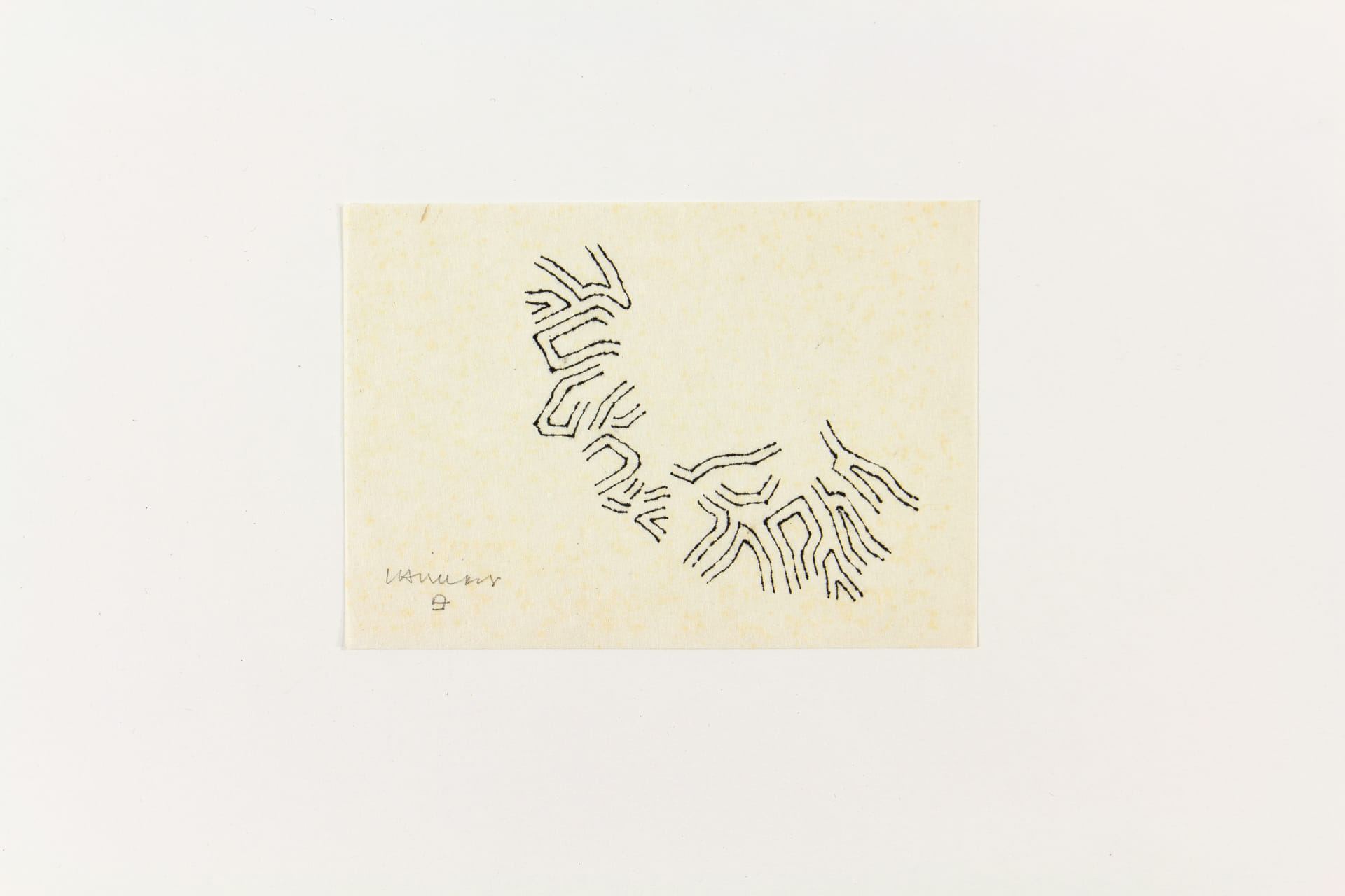 1965003.jpg